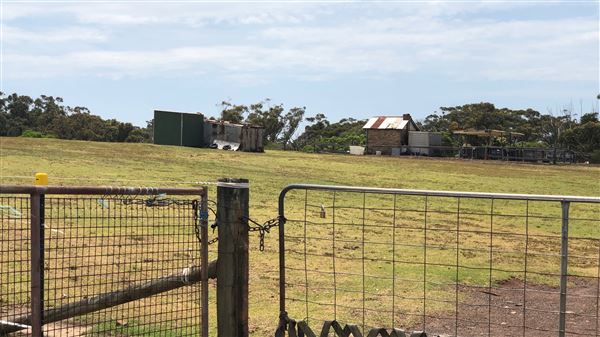 Otford Farm - Crazy T Farm (19/11/2019 - Credits: Screen NSW)