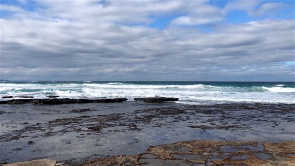 Berrara Beaches (7/07/2020 - Credits: Shannon Wheeler)