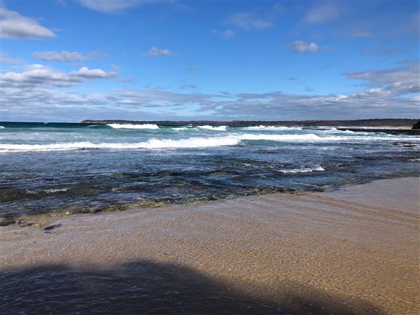 Berrara Beaches (7/07/2020 - Credits: Shannon Wheeler)