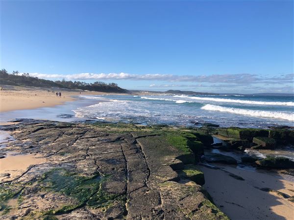 Berrara Beaches (7/07/2020 - Credits: Shannon Wheeler)