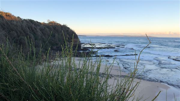Berrara Beaches (7/07/2020 - Credits: Shannon Wheeler)