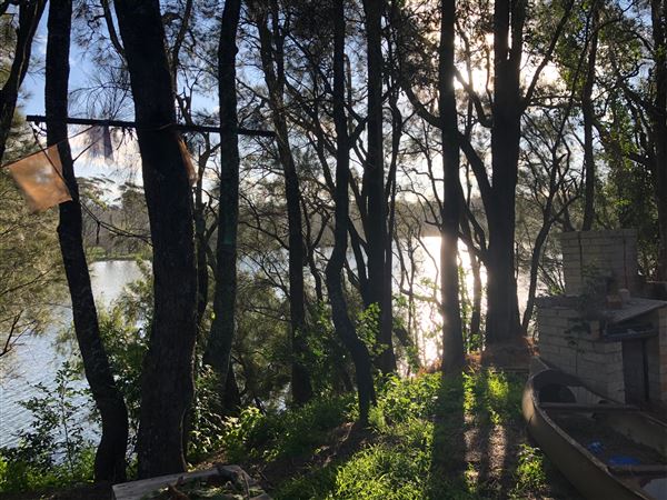 Berrara Creek - Conjola National Park (6/07/2020 - Credits: Shannon Wheeler)
