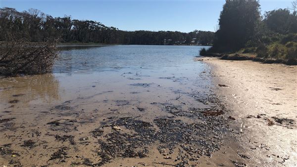 Berrara Creek - Conjola National Park (6/07/2020 - Credits: Shannon Wheeler)