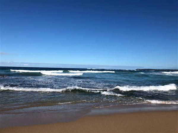 Swan Lake Inlet - Cudmirrah Beach (8/07/2020 - Credits: Shannon Wheeler)