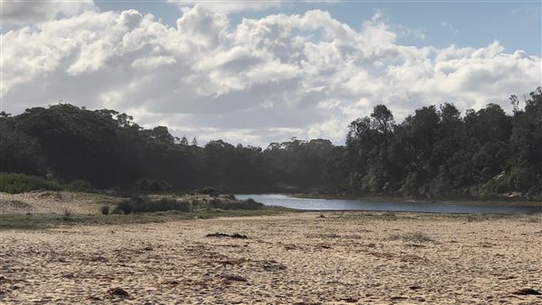 Swan Lake Inlet - Cudmirrah Beach (8/07/2020 - Credits: Shannon Wheeler)