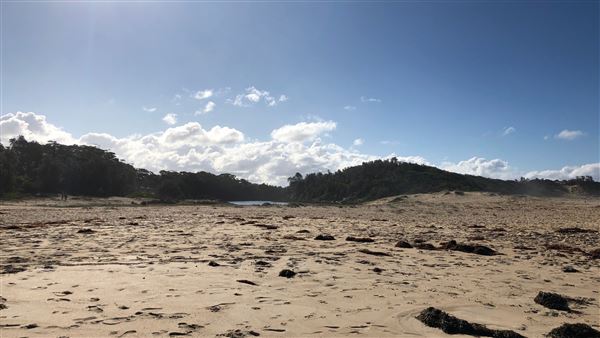 Swan Lake Inlet - Cudmirrah Beach (8/07/2020 - Credits: Shannon Wheeler)