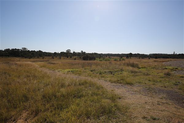 Bungarribee Park  - Western Sydney Parklands (16/06/2020 - Credits: Lisa Scope)