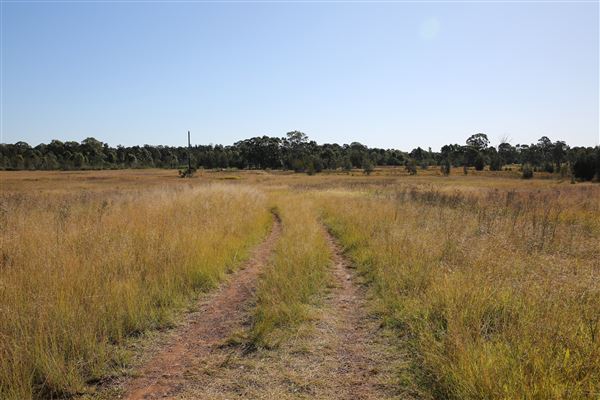 Bungarribee Park  - Western Sydney Parklands (16/06/2020 - Credits: Lisa Scope)
