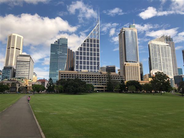 The Domain - Royal Botanic Garden Sydney (30/10/2020 - Credits: Shannon Wheeler)