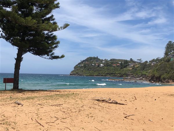 Whale Beach (20/11/2020 - Credits: Screen NSW)