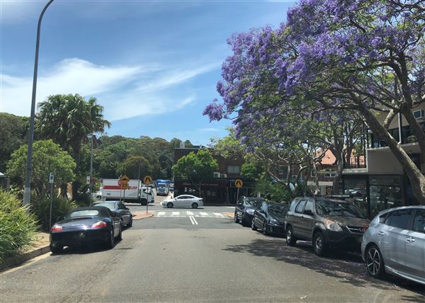 Avalon Beach (20/11/2020 - Credits: Screen NSW)