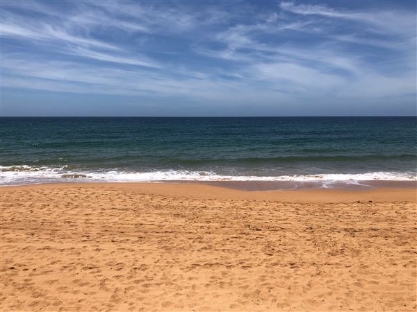 Newport Beach (20/11/2020 - Credits: Screen NSW)