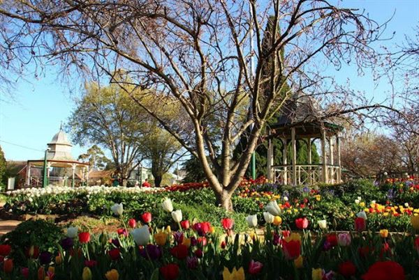 Bowral - Rotunda in Corbett Gardens - BOWRAL'S Corbett Gardens are the focal point for the Southern Highlands' famed Tulip Time Festival held annually. (1/10/2018)