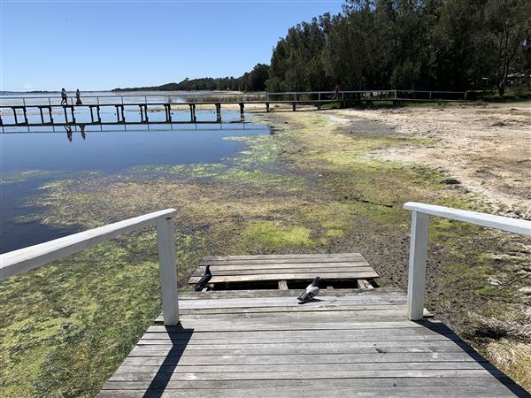 Watkins Jetty Long Jetty (10/10/2020 - Credits: Screen NSW Mechele Axford)