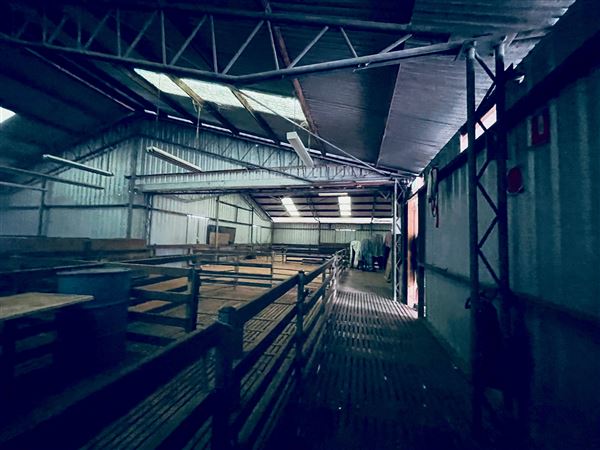 Tobruk Sheep Station - Shearing Shed & Event Venue - These photos were taken at the end of summer however, it was an unusually overcast yet bright day. (23/02/2021 - Credits: Cheryl Conway)