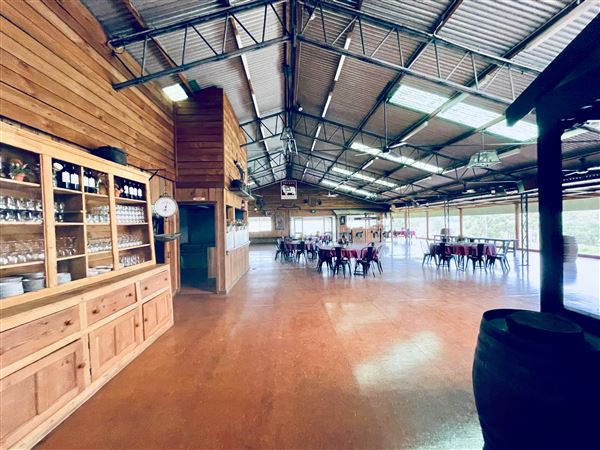 Tobruk Sheep Station - Shearing Shed & Event Venue - These photos were taken at the end of summer however, it was an unusually overcast yet bright day. (23/02/2021 - Credits: Cheryl Conway)