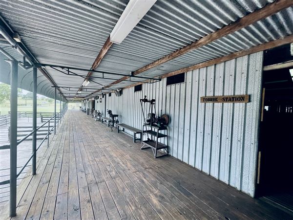 Tobruk Sheep Station - Shearing Shed & Event Venue - These photos were taken at the end of summer however, it was an unusually overcast yet bright day. (23/02/2021 - Credits: Cheryl Conway)