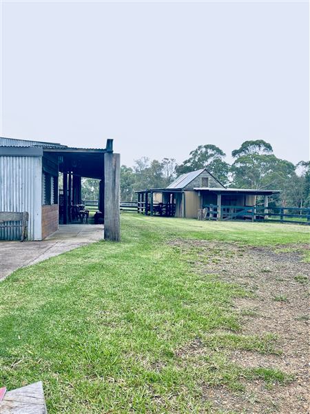 Tobruk Sheep Station - Cottages & surrounds - Summer but usually overcast & glarey. (23/02/2021 - Credits: Cheryl Conway)