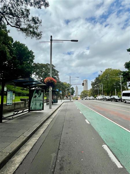 Park, Elizabeth & Liverpool Streets near Hyde Park (2/03/2021 - Credits: Cheryl Conway)