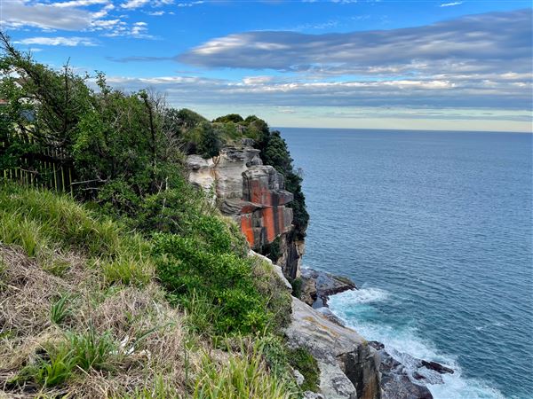 Dover Heights - Coastline @ Raleigh & Rodney Reserves - Late afternoon. (15/04/2021 - Credits: Cheryl Conway)