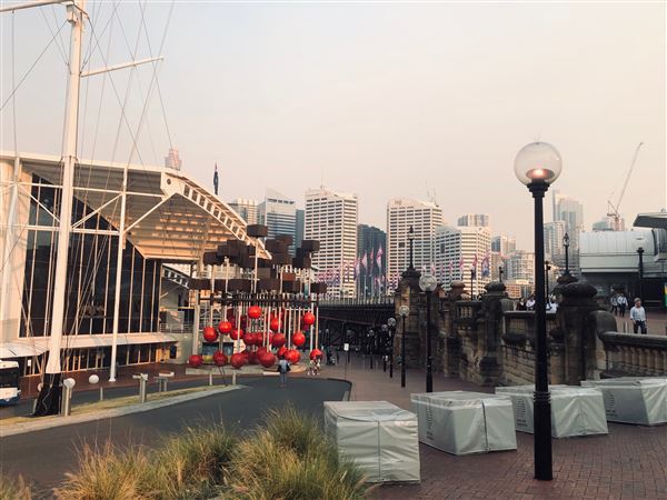 Darling Harbour (3/11/2019 - Credits: Cheryl Conway)