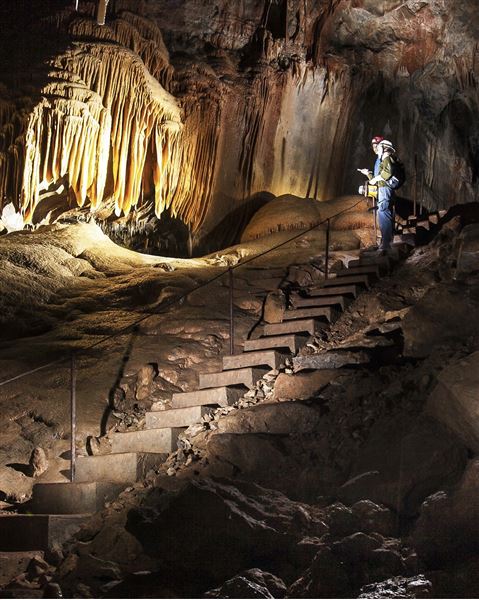 Yarrangobilly Caves area - Kosciuszko National Park (29/09/2018 - Credits: Destination NSW)