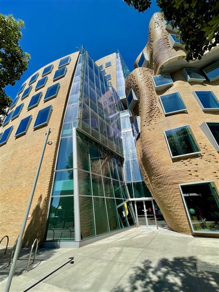 Ultimo - UTS & Central Park (17/10/2021 - Credits: Cheryl Conway)