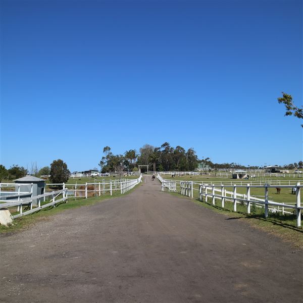 Darkes Forest Ranch (17/11/2022)