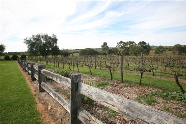 Belgenny Farm (15/03/2016)