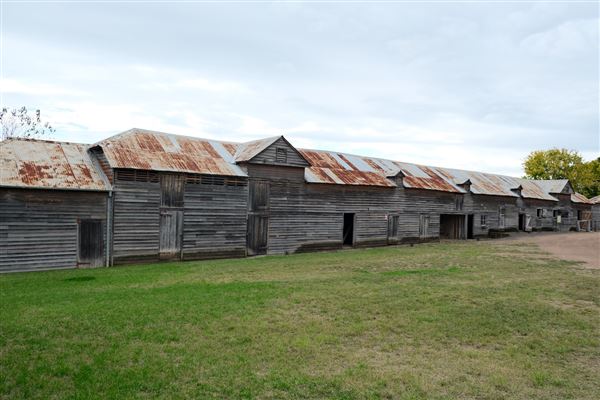 Belgenny Farm (12/04/2023 - Credits: Screen NSW)