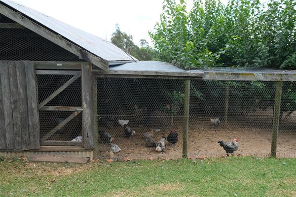 Belgenny Farm (12/04/2023 - Credits: Screen NSW)