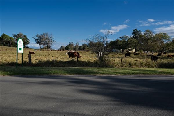Belgenny Farm (12/04/2023 - Credits: Screen NSW)