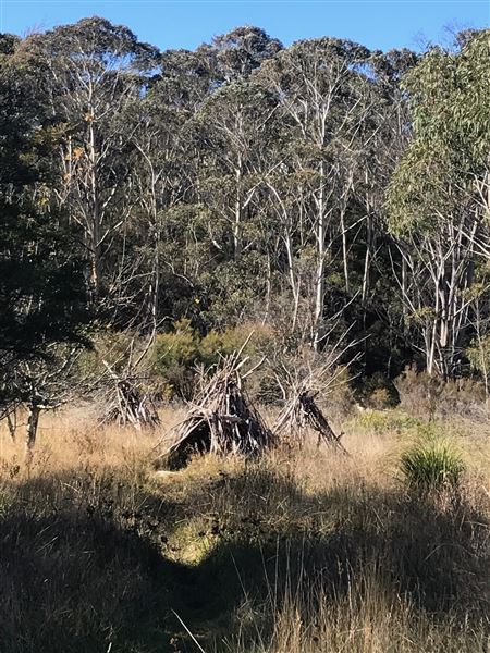 The Gully Aboriginal Place (24/05/2023 - Credits: BMCC)
