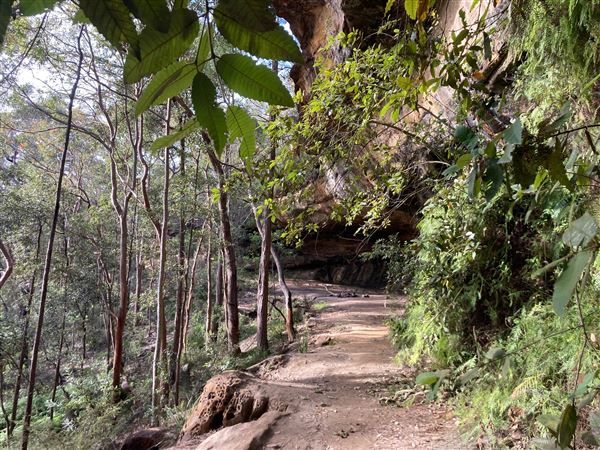 King's Cave (31/05/2023 - Credits: BMCC)