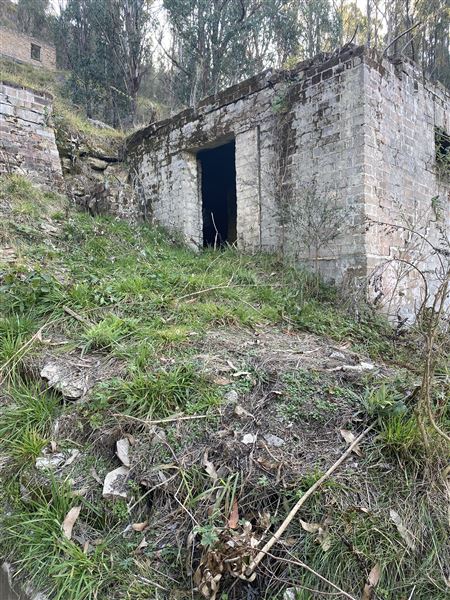Birdsong Bower - Disused Coal Mine (1/05/2023 - Credits: Brooke Lazarevic)