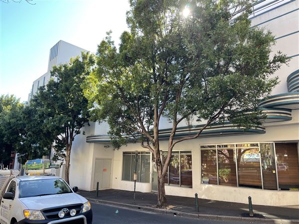 Potts Point (11/08/2023 - Credits: Screen NSW)