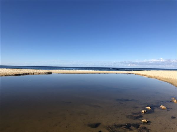 Nambucca Heads Swimming Creek (9/10/2020 - Credits: Shannon Wheeler)