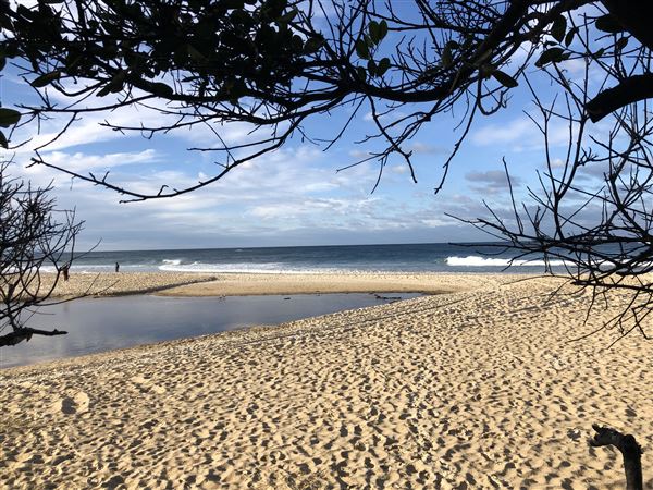 Nambucca Heads Swimming Creek (9/10/2020 - Credits: Shannon Wheeler)