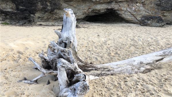 Nambucca Heads (14/07/2020 - Credits: Shannon Wheeler)