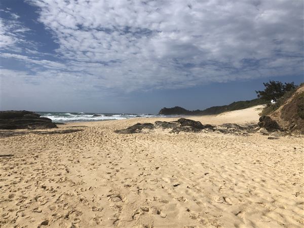 Nambucca Heads (9/10/2020 - Credits: Shannon Wheeler)