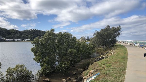 Nambucca Heads (9/10/2020 - Credits: Shannon Wheeler)