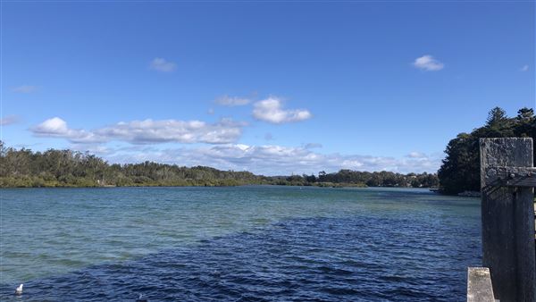 Nambucca Heads (9/10/2020 - Credits: Shannon Wheeler)