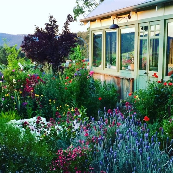 Hartvale Gardens and Cottage (30/10/2023 - Credits: Jennifer Edwards)