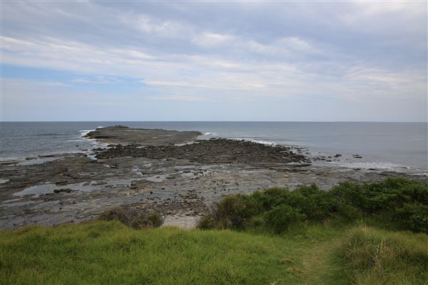 Black Head Reserve (11/01/2018 - Credits: Lisa Scope)