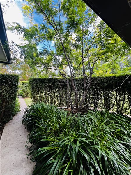 Private House - Poplars Estate (14/02/2024 - Credits: submitted by: Melissa Buesnel)