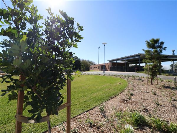 Maitland Regional Sportsground (9/05/2019 - Credits: Maitland City Council)
