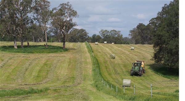 Tocal Farm (23/05/2019 - Credits: Tocal College)