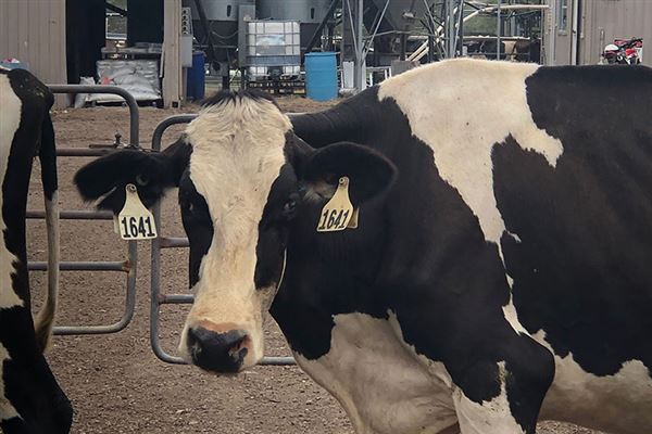 Tocal Farm (23/05/2019 - Credits: Tocal College)