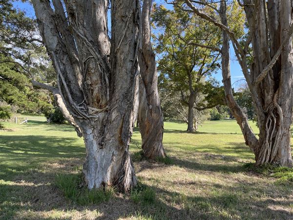 Vaucluse House (27/03/2024 - Credits: Shannon Wheeler)