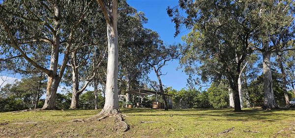 Nepean Dam (19/07/2024 - Credits: Kim McGuinness)